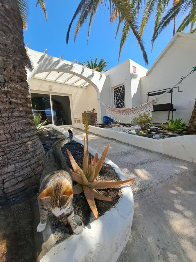 Palm Point Apartment Costa Calma Exterior photo